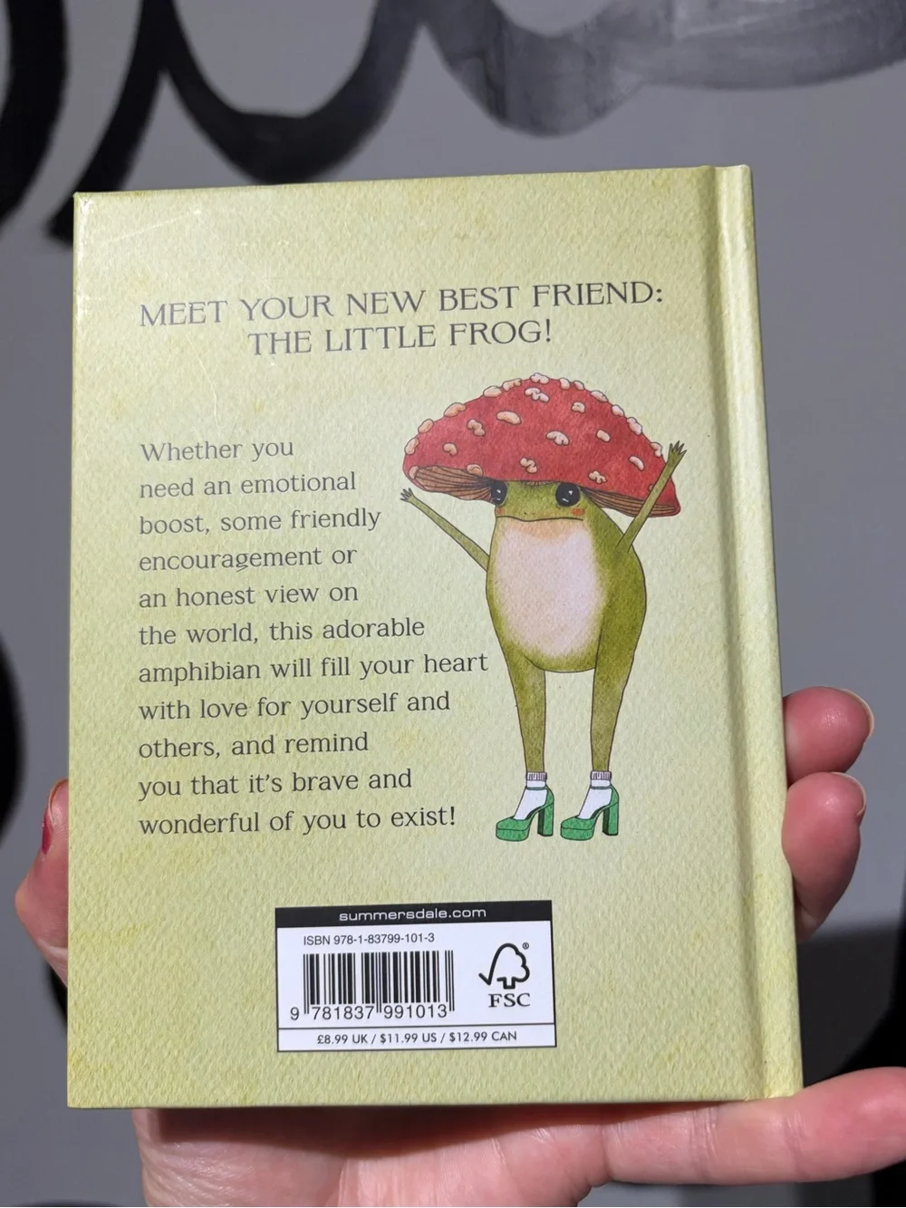 THE LITTLE FROG’S GUIDE TO SELF CARE BOOK